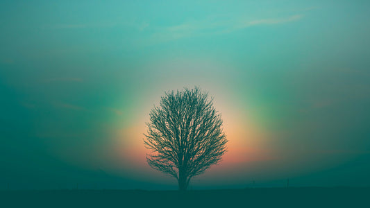 An Introduction to Manifestation